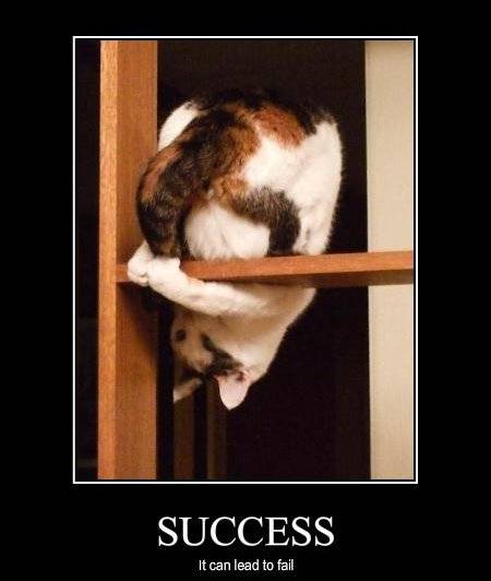 funny-pictures-cat-caught-his-tail-and-might-fall.jpg